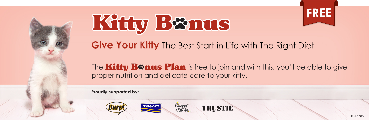 Kitty Bonus Plan